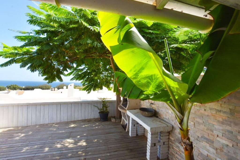 Appartement Book Jet - Costa Calma Blue Ocean Dream Terrace Extérieur photo